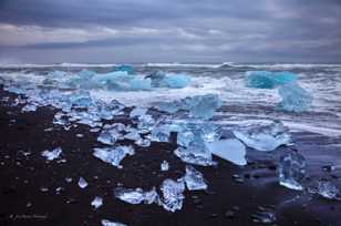 Icebergs on black sand beach-9310 Icebergs on black sand beach-9310